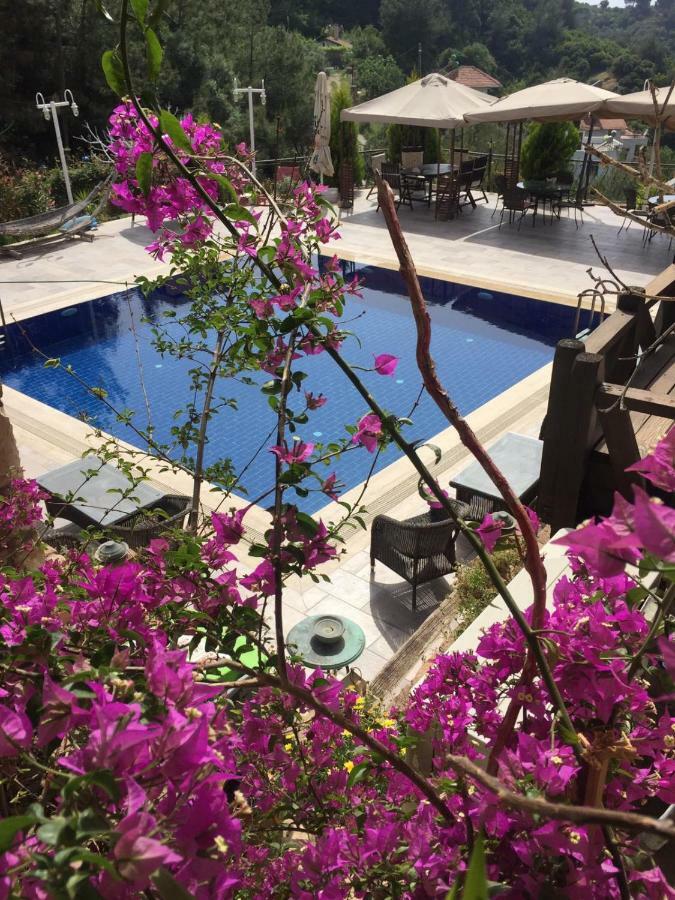 The Stone Castle Boutique Hotel Ağaçlı 외부 사진